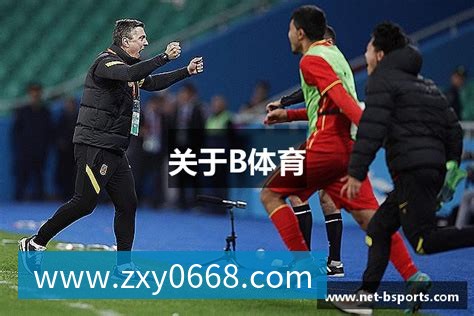 专业赛事级篮球鞋